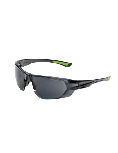 Ochelari de protecție ARDON P3 E4264,...