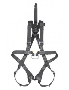 Ham simplu de siguranță P 30N