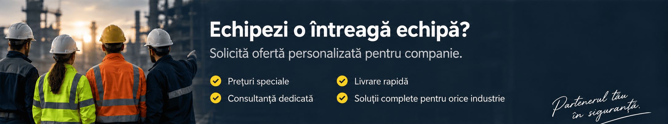 Ofertă personalizată pentru companii