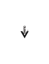 VTrend